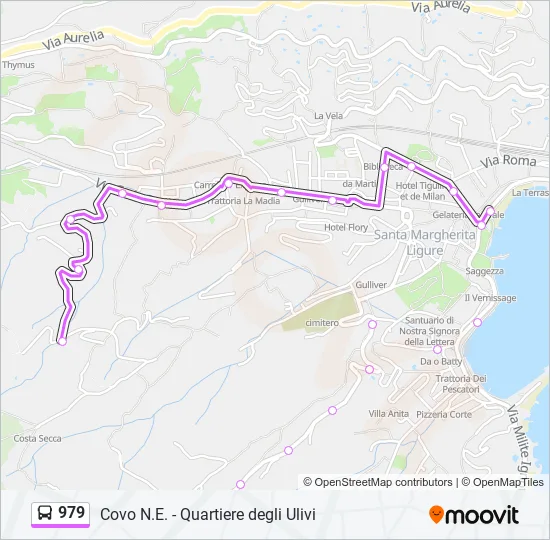979 Bus Line Map