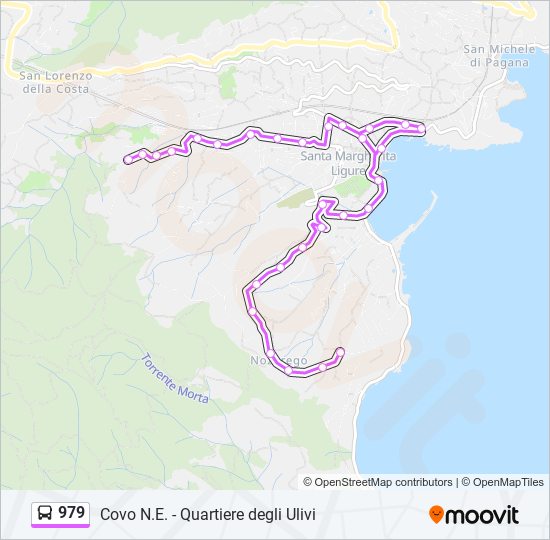 Percorso linea bus 979