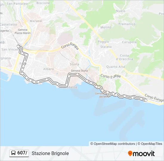 607/ Bus Line Map