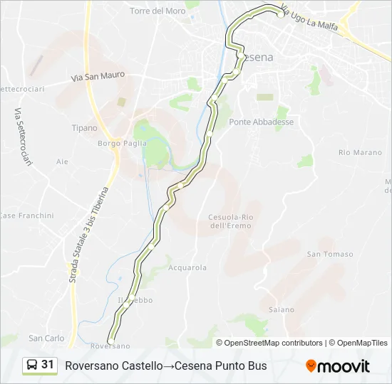 31 Bus Line Map