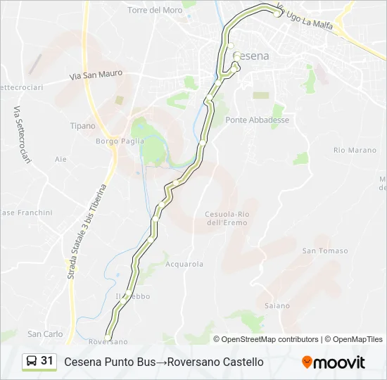 31 Bus Line Map