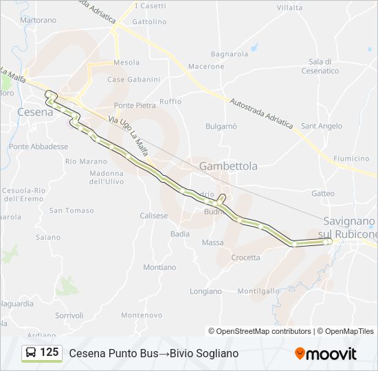 Percorso linea bus 125