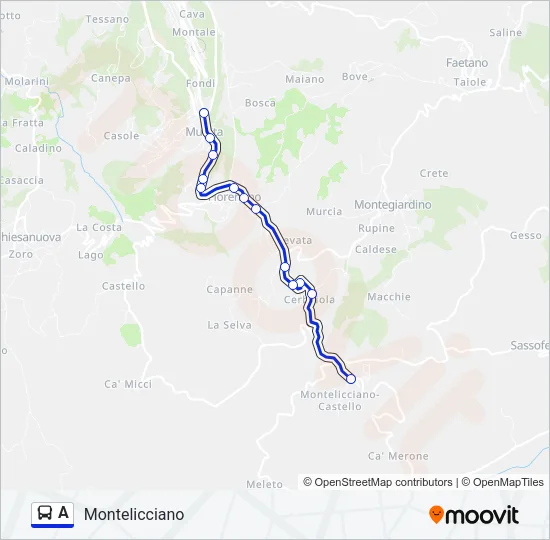 A Bus Line Map