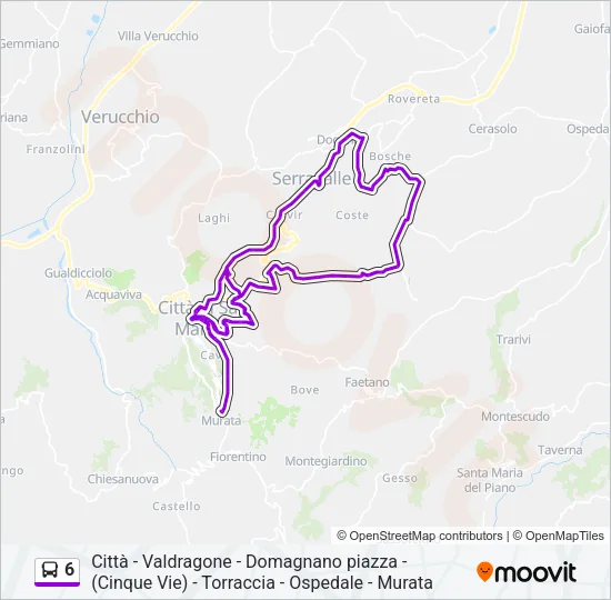 6 Bus Line Map