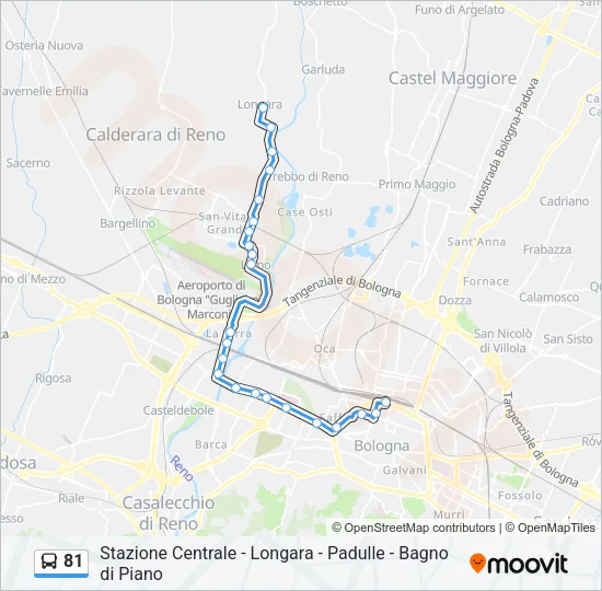 81 Bus Line Map