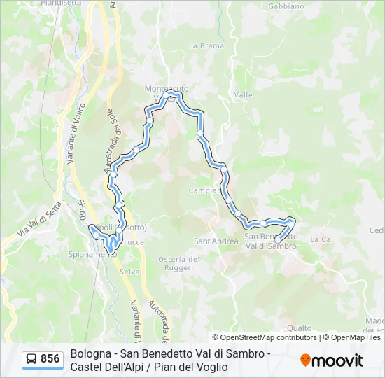 856 Bus Line Map