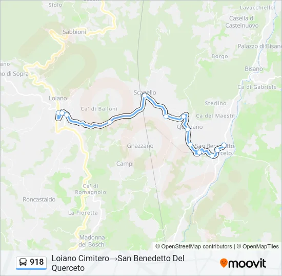 918 Bus Line Map