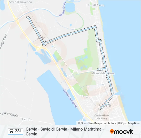 231 Bus Line Map