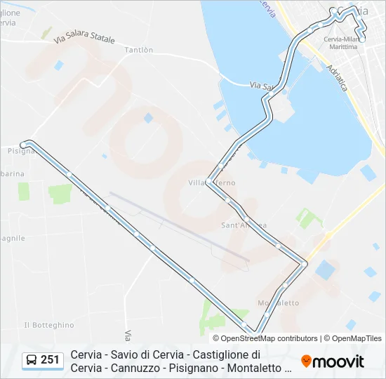 251 Bus Line Map