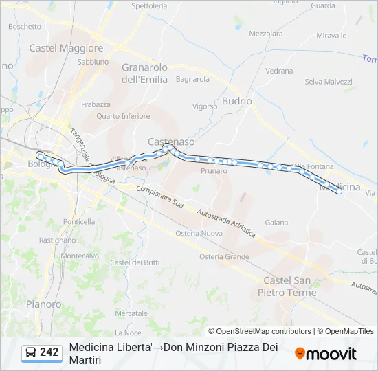 242 Bus Line Map