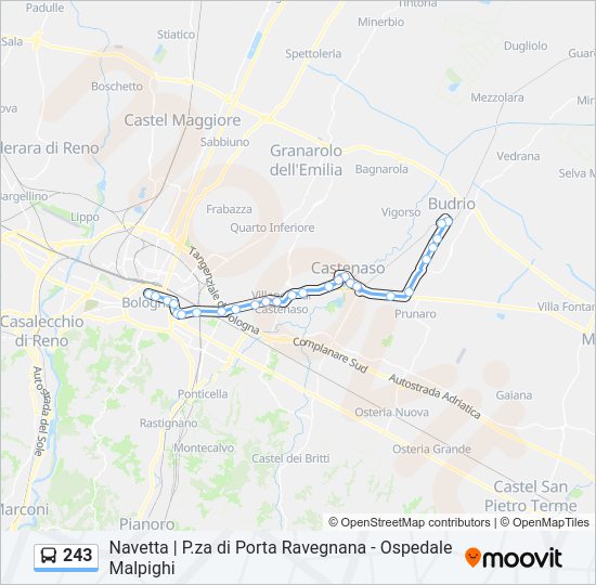 Percorso linea bus 243