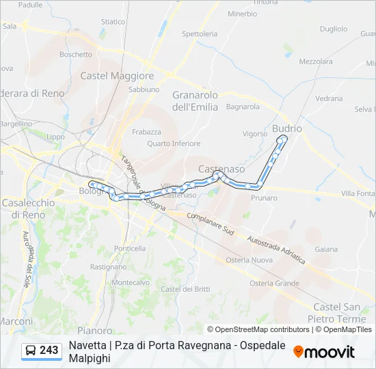 243 Bus Line Map