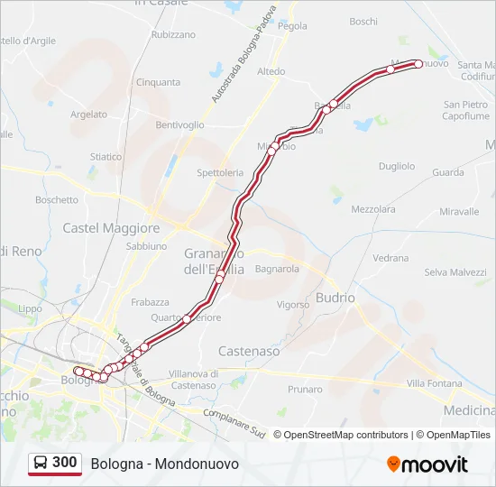 300 Bus Line Map