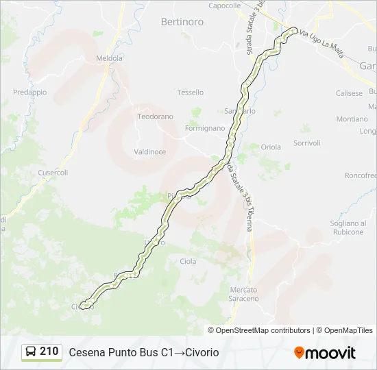 210 Bus Line Map