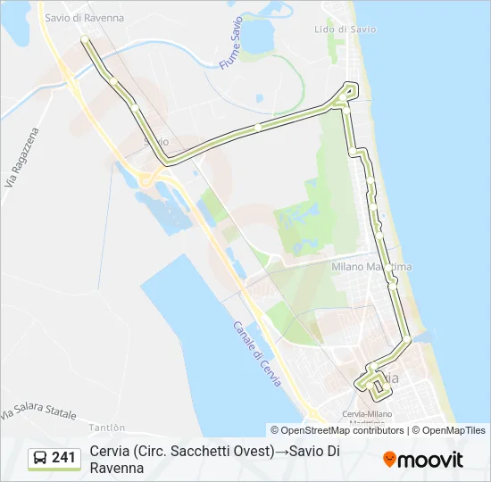 241 Bus Line Map
