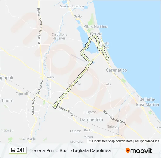 241 Bus Line Map