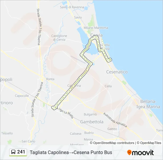 241 Bus Line Map
