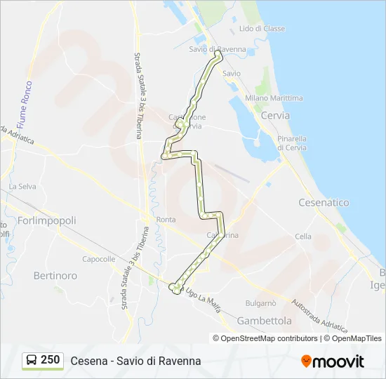 250 Bus Line Map