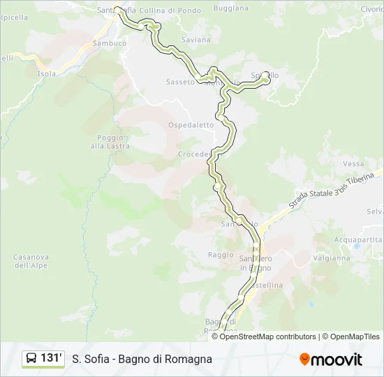 131' Bus Line Map