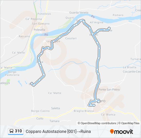 Percorso linea bus 310