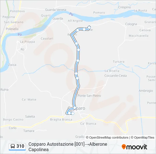 310 Bus Line Map