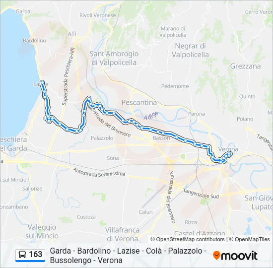 163 Bus Line Map