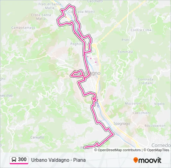 300 Bus Line Map