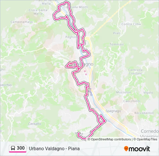 300 Bus Line Map