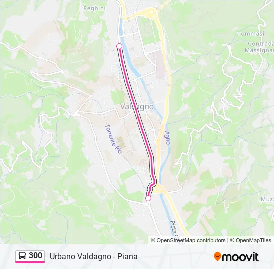 300 Bus Line Map