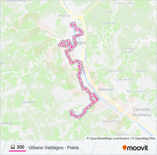 300 Bus Line Map