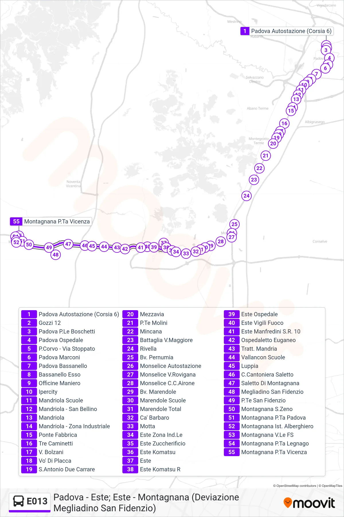 Linea E013  bus (Montagnana P.Ta Vicenza) - Percorsi e fermate sulla mappa