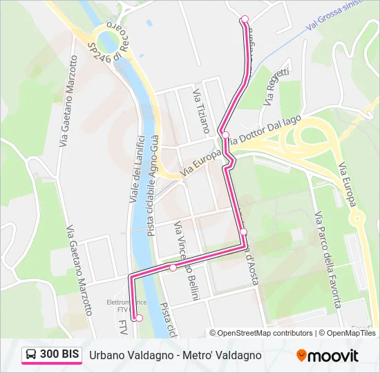 300 BIS Bus Line Map