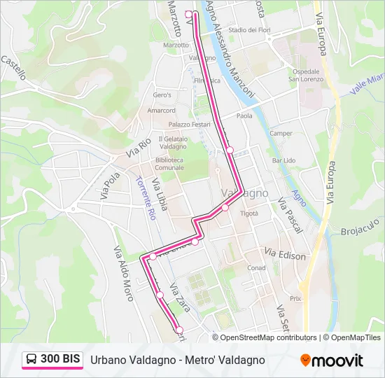300 BIS Bus Line Map