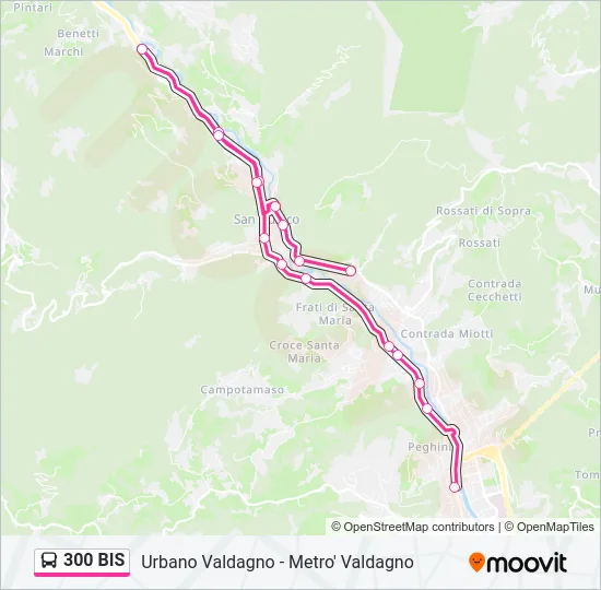 300 BIS Bus Line Map