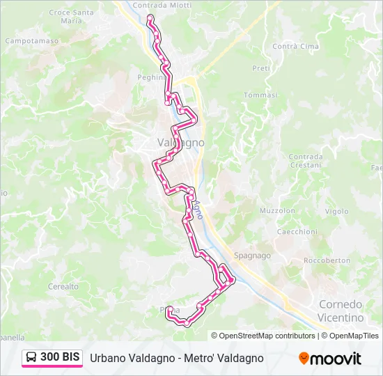 300 BIS Bus Line Map