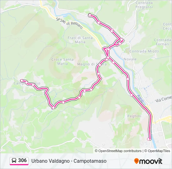 306 Bus Line Map