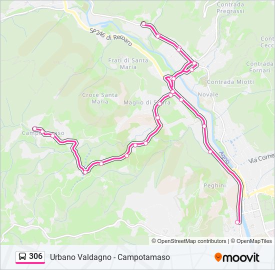 306 Route: Schedules, Stops & Maps - Valdagno Autostazione (Updated)