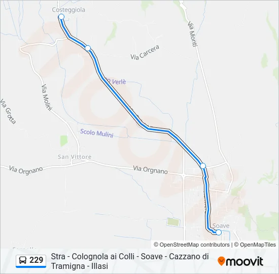 Percorso linea bus 229