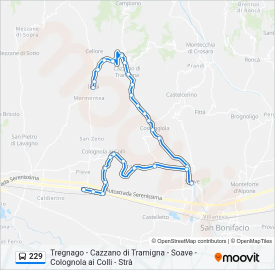229 Bus Line Map