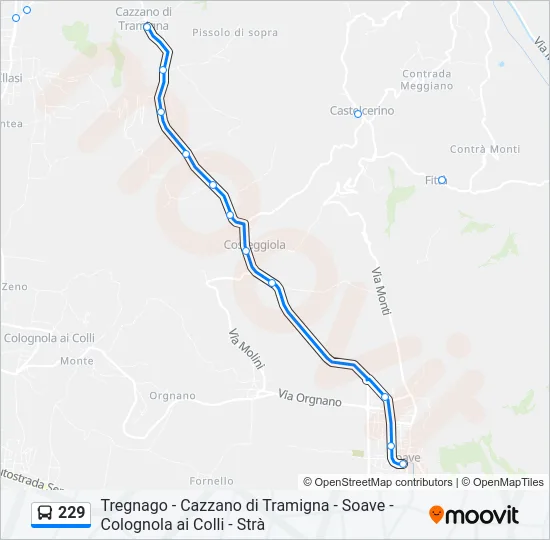 229 Bus Line Map