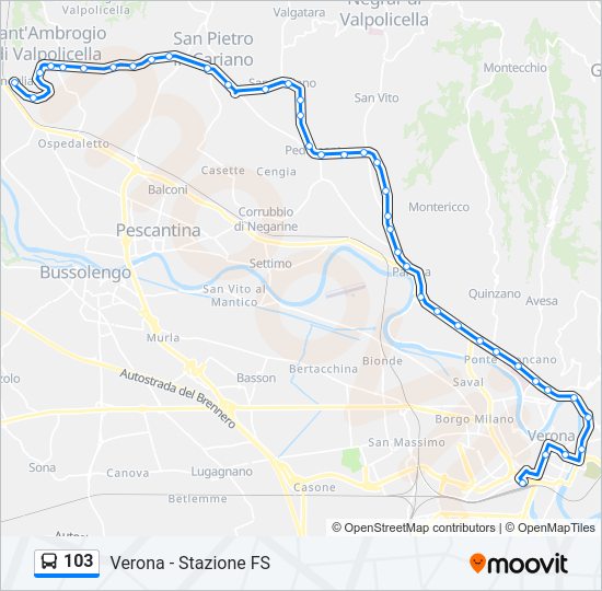 Percorso linea bus 103
