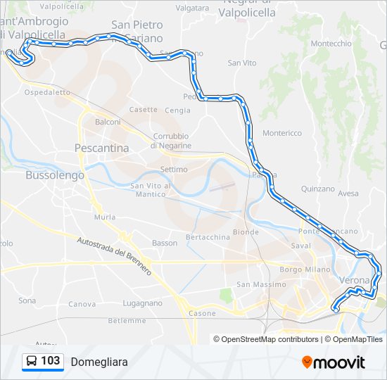 Percorso linea bus 103