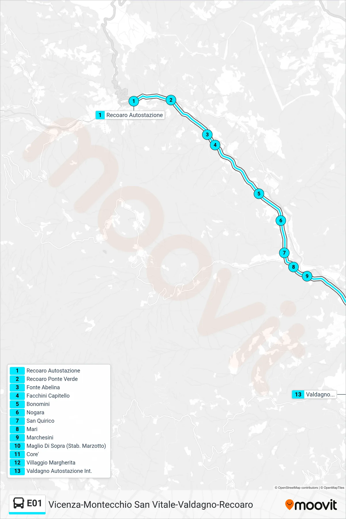 Linea E01  bus (Recoaro > Valdagno Autostazione) - Percorsi e fermate sulla mappa