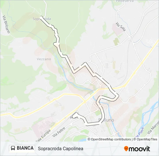 BIANCA Bus Line Map