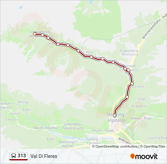 313 Bus Line Map