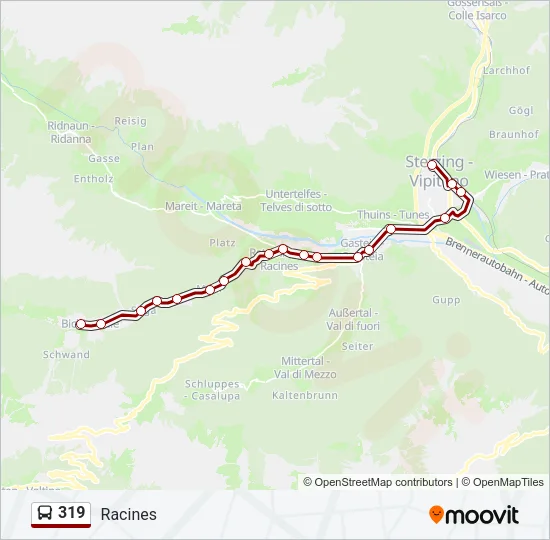 319 Bus Line Map