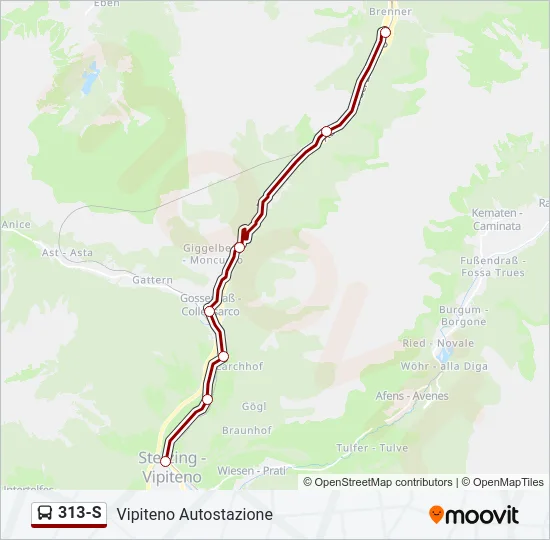 313-S Bus Line Map