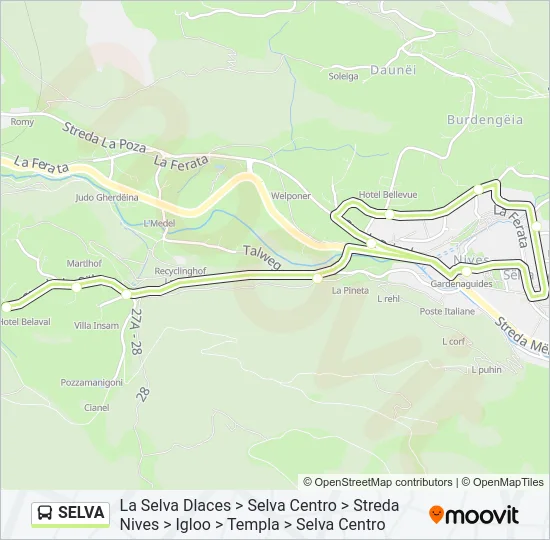 SELVA Bus Line Map