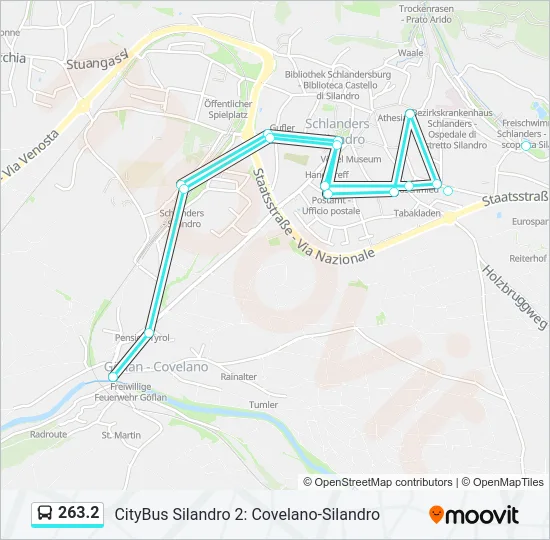 263.2 Bus Line Map