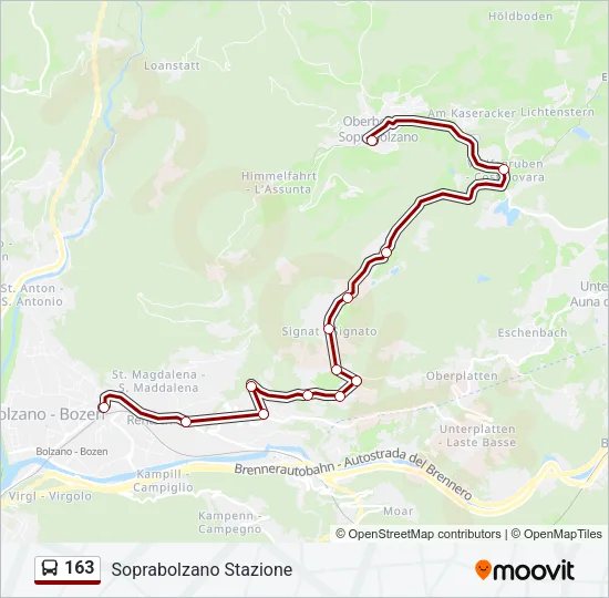 163 Bus Line Map